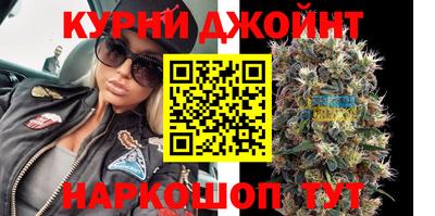 сатива Кизилюрт