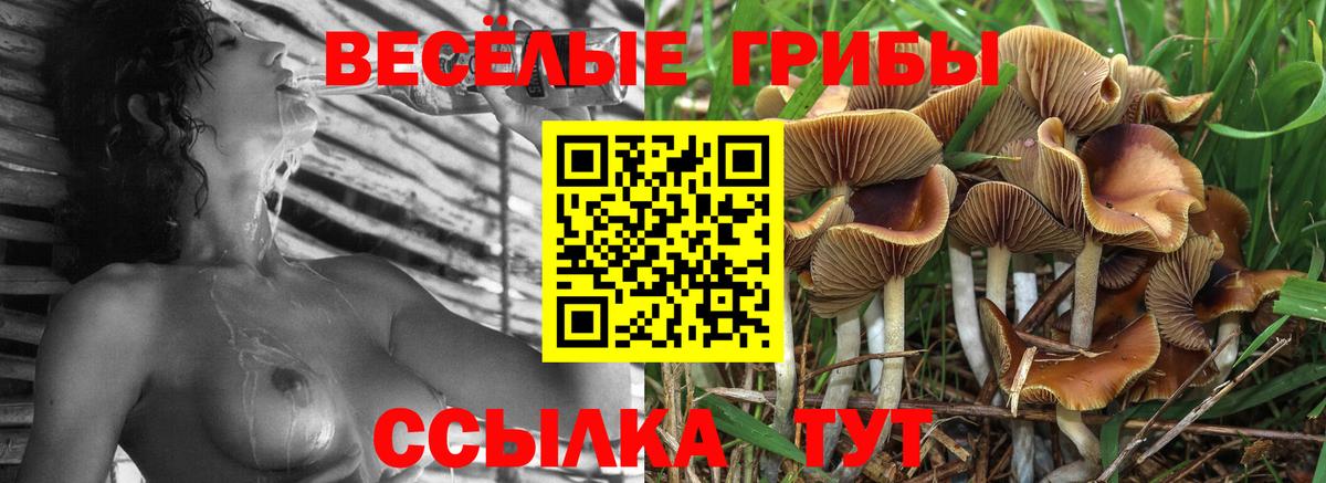 Галлюциногенные грибы ЛСД Добрянка